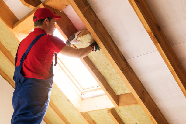 Best Attic Insulation Installation  in Port Huron, MI